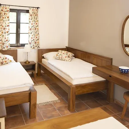 Guest house Dvur Liskovy Vrch 4*