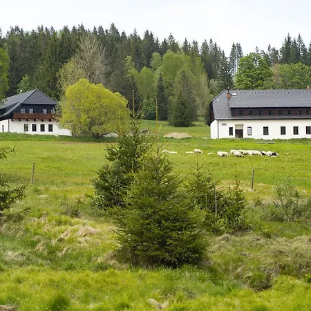 Dvur Liskovy Vrch Strážný