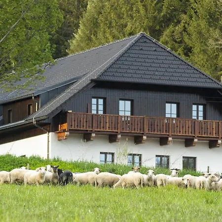 Dvur Liskovy Vrch 3*