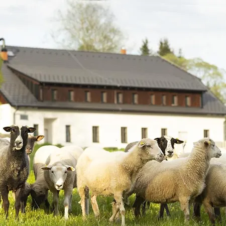 Dvur Liskovy Vrch 3* Strážný