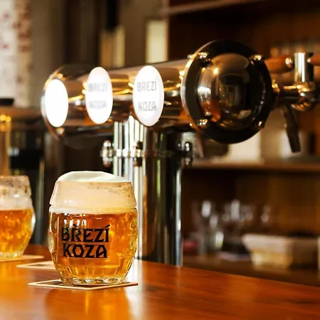 Dvur Liskovy Vrch 3* Strazny