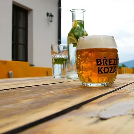 Dvur Liskovy Vrch 3*