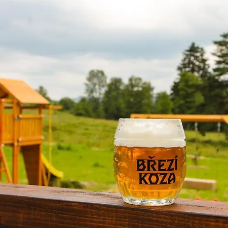 Dvur Liskovy Vrch Guest house