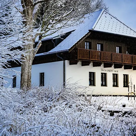 Dvur Liskovy Vrch Guest house Strazny