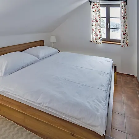 Guest house Dvur Liskovy Vrch 4*