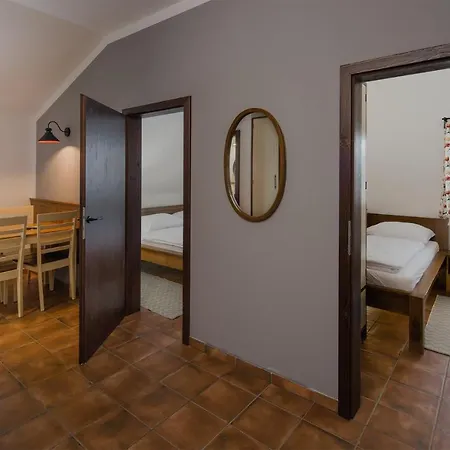 Dvur Liskovy Vrch Guest house Strazny