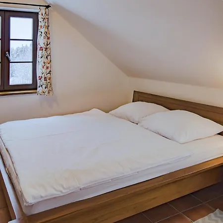 Guest house Dvur Liskovy Vrch Strazny