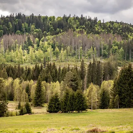 Dvur Liskovy Vrch Strazny