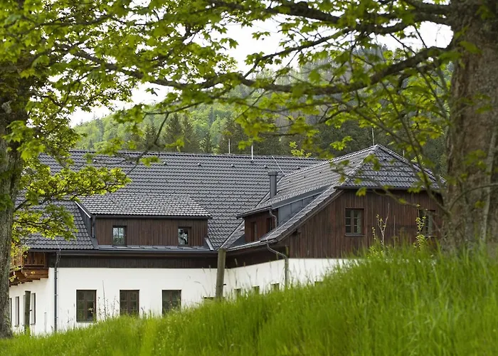 Dvur Liskovy Vrch 3*