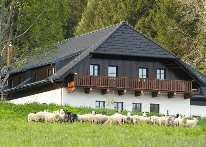 Dvur Liskovy Vrch 3*