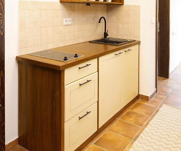 Pensjonat Dvur Liskovy Vrch