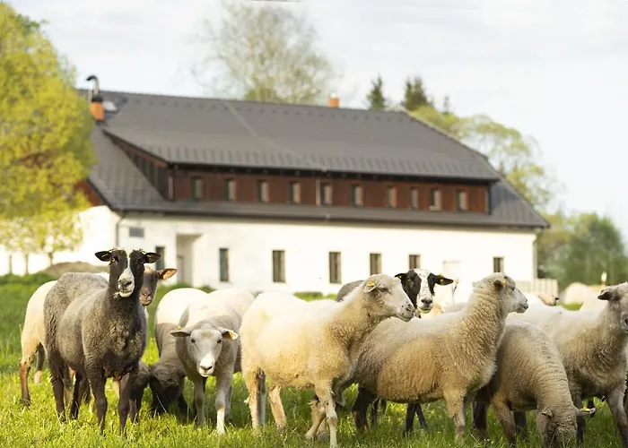 Dvur Liskovy Vrch 3* Strazny