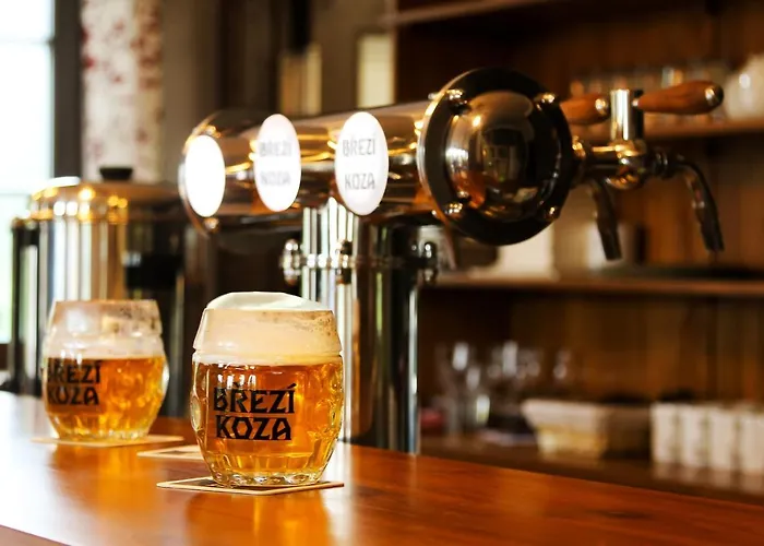 Dvur Liskovy Vrch 3* Strazny