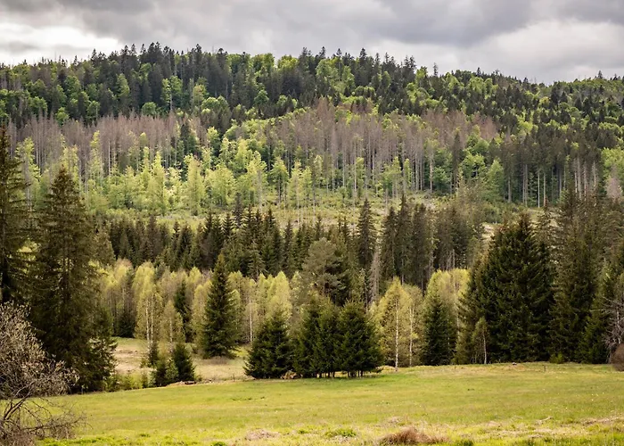 Dvur Liskovy Vrch Стражны